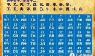 2023年三九天的起止时间
