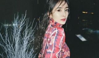 杨幂粉丝不满意工作室