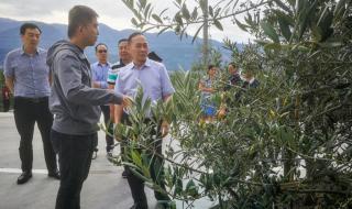 攀枝花市属于凉山州吗