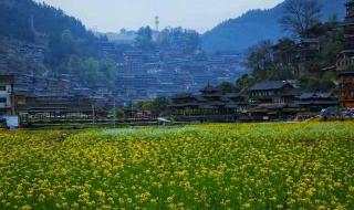 贵州自由行旅游攻略及花费