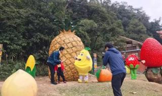 春节去哪里旅游比较好