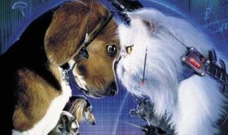 猫狗大战1国语版电影