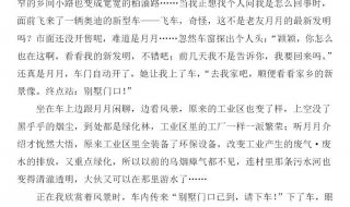 二十年后的家乡优秀作文