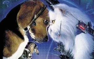 电影猫狗大战里主角是什么狗 猫狗大战1国语版电影