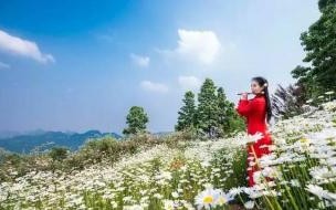 走一步退一步全当没走是什么歌 走一步退一步等于没走