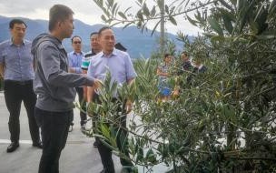 攀枝花属于凉山吗 攀枝花市属于凉山州吗